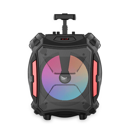 Cassa Altoparlante Bluetooth Ricaricabile Portatile a Trolley con luci RGB e Microfono incluso – Connessione Radio Bluetooth USB TF (modello m Mu ZQS12110)