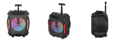 Cassa Altoparlante Bluetooth Ricaricabile Portatile a Trolley con luci RGB e Microfono incluso – Connessione Radio Bluetooth USB TF (modello m Mu ZQS12110)